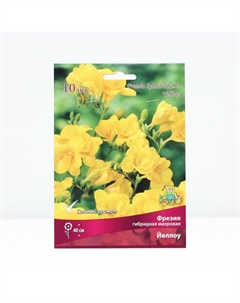 Фрезия гибридная махровая Йеллоу, р-р 5/6, 10 шт, Осень 2025 Поиск
