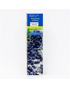Жимолость съедобная (Серия Северный Сад) "Барышня", 1 шт, туба, Весна 2025 Поиск