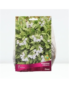 Медуница гибридная Опал, корневище в пакете с торфогрунтом, р-р I, 1 шт. Поиск
