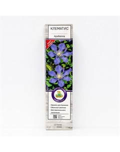 Клематис ботанический (для срезки) "Арабелла ", 1 шт, туба, Весна 2025 Поиск