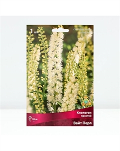 Клопогон простой Вайт Пёрл, р-р I, 1 шт. Поиск