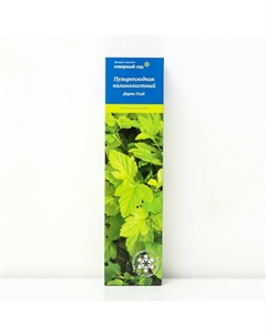 Пузыреплодник калинолистный (Серия Северный сад) "Дартс Голд", 1 шт, туба, Весна 2025 Поиск