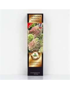 Гортензия метельчатая Патио Люкс "Литтл Фрайз", 1 шт, туба, Весна 2025 Поиск