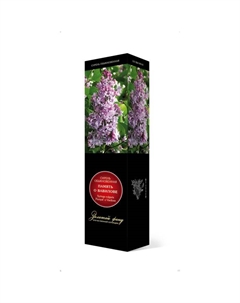 Сирень обыкновенная "Память о Вавилове", 1 шт, туба, Весна 2025 Поиск