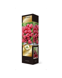 Малина перспективные сорта (штамбовый тип куста), 1 шт., туба, Весна 2025 Поиск