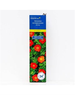 Лапчатка кустарниковая (Серия Северный сад) «Ред Эйс» 1 шт., туба, Весна 2025 Поиск