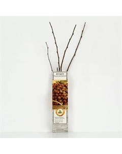 Фундук (Лещина обыкновенная) "Авелана", 1 шт, туба, Весна 2025 Поиск