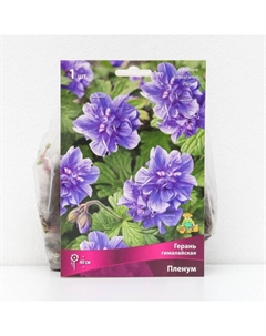 Герань гималайская «Пленум », корневище в пакете с торфогрунтом, 1 шт., р-р I Поиск