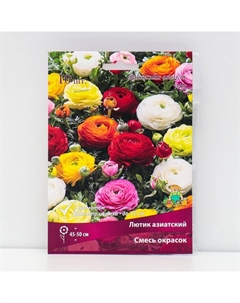 Лютик азиатский смесь окрасок, 10 шт., р-р 7/8, Осень 2025 Поиск