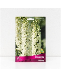 Дельфиниум "тихоокеанский Галахад ", 1 шт, р-р I, Весна 2025 Поиск