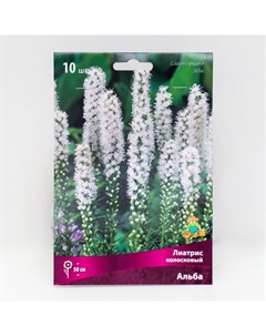 Лиатрис колосковый Альба, луковицы в пакете с перфорацией, 10 шт., р-р 8/10 Поиск