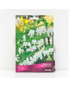 Дицентра «великолепная Альба », корневище в пакете с торфогрунтом, 1 шт., р-р I Поиск