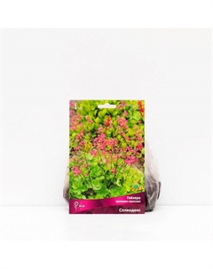 Гейхера (Хеухера) "кроваво-красная Спленденс ", корневище в пакете с торфогрунтом, 1 шт., р-р I Поиск