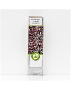 Барбарис оттавский "Силвэ Майлс" 1 шт, туба, Весна 2025 Поиск