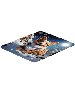 Коврик для мыши CS-MP-D13M Cactus