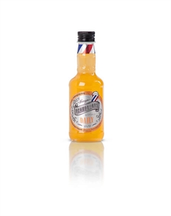 Ежедневный шампунь для волос Daily Shampoo 100 Beardburys