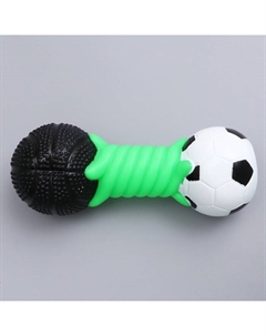 Игрушка пищащая "Гантель большая" для собак, усиленная, 19 см, микс цветов Пижон