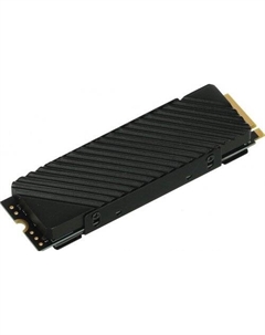 SSD Top G3 1TB DGST4001TG33T Digma