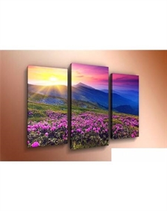 Модульная картина m-000339 75x50 Arthata