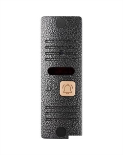 Вызывная панель -D10 Plus (серебристый) Ctv
