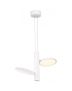 Подвесная люстра Aberdeen LSP-7085 Lussole