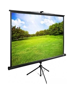 Проекционный экран TriExpert 180x180 CS-PSTE-180x180-BK Cactus