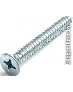 Шуруп V010069M (200 шт) Ект