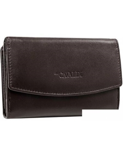 Кошелек 4U Cavaldi RD-DB-10-GCL (темно-коричневый) Cedar