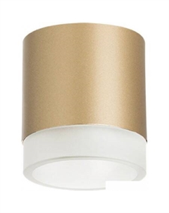 Точечный светильник Rullo R349080 Lightstar