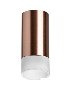 Спот Rullo R43031 Lightstar