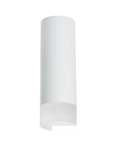 Спот Rullo R48631 Lightstar