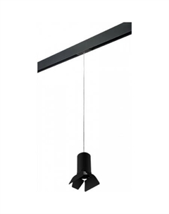 Трековый светильник Rullo PRORP437437 Lightstar