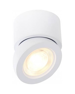 Спот ST654 ST654.542.10 St luce
