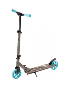 Двухколесный подростковый самокат PE2015GR Favorit