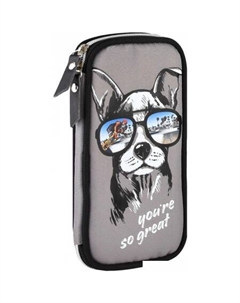 Пенал Собака в очках 62045 Feniks