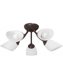 Припотолочная люстра V3404/5PL Vitaluce