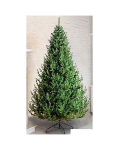 Ель Элоди 2.1 м Greenterra