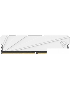 Оперативная память Shadow S 8ГБ DDR4 3200 МГц NTSSD4P32SP-08W Netac