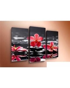 Модульная картина m-000602 120x80 Arthata