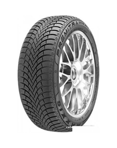 Зимние шины Premitra Snow WP6 225/55R16 99H Maxxis
