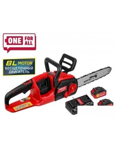 Аккумуляторная пила CEC 3536-1 1333454 (с 2-мя АКБ) Wortex