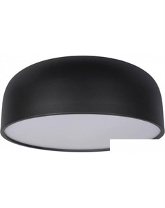 Припотолочная люстра Axel 10201/480 Green Loft it