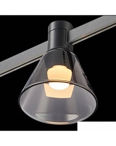 Трековый светильник Farm ST814.406.03 St luce