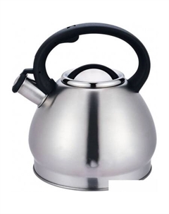 Чайник со свистком AST1035 Astiat