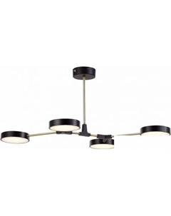 Люстра средней высоты Monta SLE6004-402-04 Evoluce