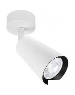 Точечный светильник Cintura A2352PL-1WH Arte lamp