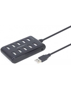 USB-хаб  UHB-U2P10P-01 Gembird