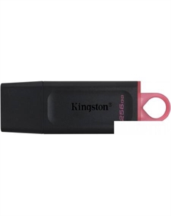 USB Flash Exodia 256GB Kingston