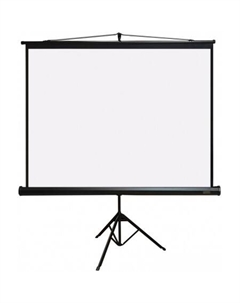 Проекционный экран Magna TRM-NTSC-84D Pl