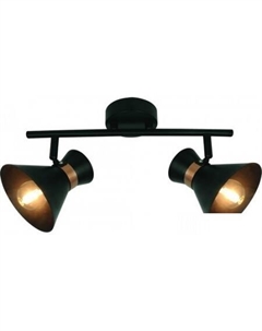 Точечный светильник Baltimore A1406AP-2BK Arte lamp